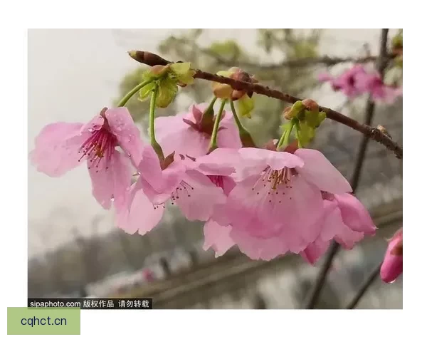 亚洲伊人，一生只为一次的惊艳邂逅